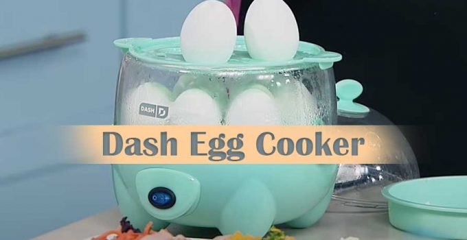 Amazing things you need to know about Dash Egg Cooker