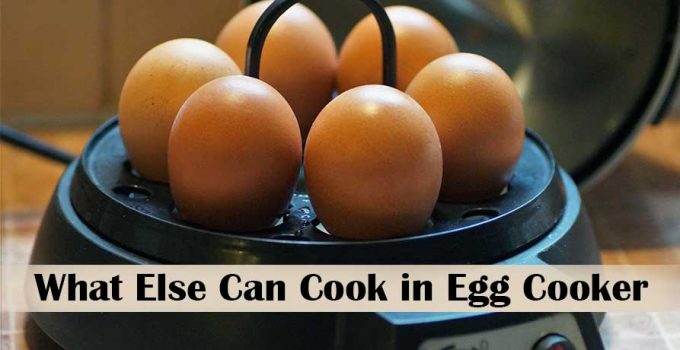 What Else Can I Cook in My Egg Cooker in easy ways!