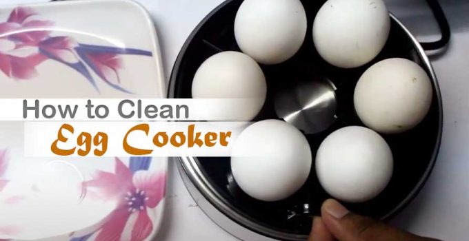 How to Clean Egg Cooker? – Easiest Cleaning Method