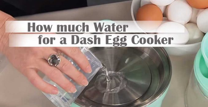How much Water for a  Egg Cooker? – Proper Guidelines