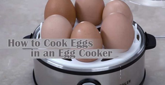 How to Cook Eggs in an Egg Cooker – Learn 3 Main Types